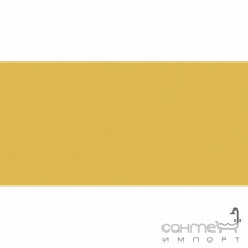 Плитка настінна 20x40 RAKO Color One Dark Yellow Матова RAL 0858070 WAAMB222