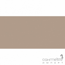 Плитка настінна 20x40 RAKO Color One Light Beige-brown Глянець RAL 0607020 WAAMB301