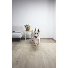 Вініловий підлогу Quick-Step Livyn Pulse Click Plus PUCP40105 Дуб бавовняний світло-сірий