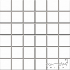 Мозаика Paradyz Altea Bianco (4,8x4,8)