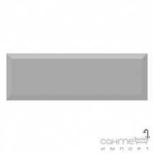Плитка ABSOLUT KERAMIKA MONOCOLOR PLATA BISELADO BRILLO (10х30)