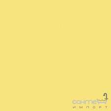 Плитка RAKO WAA19221 - Color One лицювальна RAL 0908040