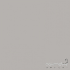 Плитка настенная 20x20 RAKO Color One Grey Матовая RAL 0607005 WAA1N210