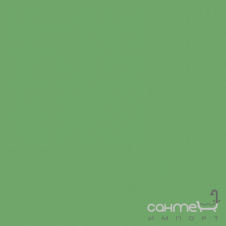 Плитка настенная 20x20 RAKO Color One Green Глянцевая RAL 1306050 WAA1N456