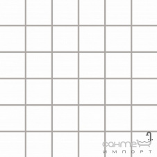 Мозаика Paradyz Albir Blanco (4,8x4,8)