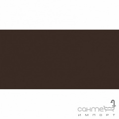Плитка настінна 20x40 RAKO Color One Dark Brown Глянець RAL 0502010 WAAMB671 Лозова
