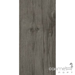 Керамічний граніт Atlas Concorde Aхi Grey Timber 45х90 ADU6 (під дерево) Чернігів