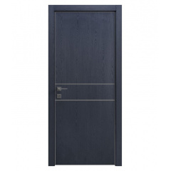 Дверь RODOS Modern Flat-01 Alum глухая Изюм