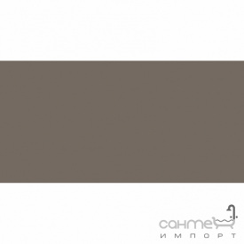 Плитка настенная 20x40 RAKO Color One Grey-Beige Глянец RAL 0805010 WAAMB303