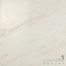Керамический гранит Atlas Concorde Marvel PRO Marvel Cremo Delicato 60x60 Lapp. ADUK