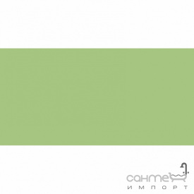 Плитка настінна 20x40 RAKO Color One Light Green Глянець RAL 1208050 WAAMB455
