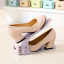 Подставка для обуви Double Shoe Racks LY-500 Pink (4035-11848a) Луцьк