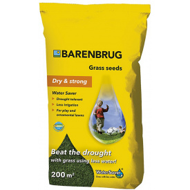 Семена Barenbrug Dry&Strong 5кг (BDS5)