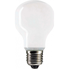 Лампа накаливания Philips Soft E27 75W, 230V T55, WH 1CT/24X5F (922800444224) Київ