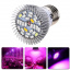 Фитолампа фито лампа для растений, ВТВ полный спектр E27, 28 LED 8Вт Костопіль