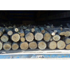 Дрова дубові цурками по 35-40 см Drovianik, ціна без доставки Бровари