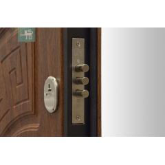 Вхідні двері ПО-08 Золотий дуб МДФ/МДФ 860х960х2050 Сміла