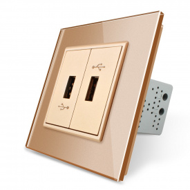 Розетка два USB з блоком живлення 2.1А 5V Livolo золото скло (VL-C792U-13)