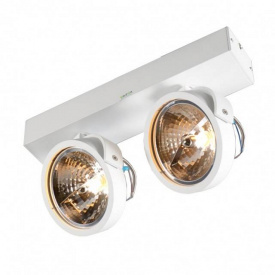 Потолочный светильник Zuma Line GO SL 2 89964-G9