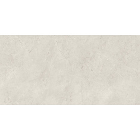 Керамическая плитка Paradyz Afternoon Silver Sciana Rekt. G1 29,8х59,8 см