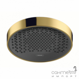 Верхний душ Hansgrohe Rainfinity 250 1jet EcoSmart 26229990 золото