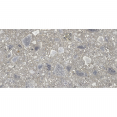 Плитка Cerrad Gres Ceppo Nuovo Silver Poler 8х597х1197 мм (529957) Київ