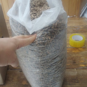  Гранула пеллеты из пшеницы 6мм