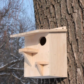 Домик для белок ( 8020 )