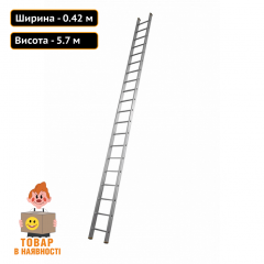 Професійна приставна драбина на 20 сходинок Техпром Івано-Франківськ