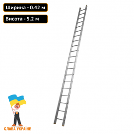 Профессиональная приставная лестница из алюминия на 18 ступеней Техпром
