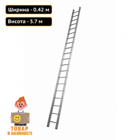 Професійна приставна драбина на 20 сходинок Техпром