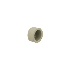 Заглушка PPR ASG 25мм 1415412068 Миколаїв