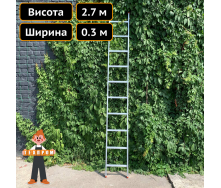 Односекційна драбина із алюмінію на 10 сходинок Техпром