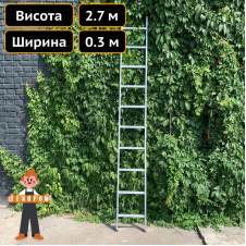 Односекційна драбина із алюмінію на 10 сходинок Техпром