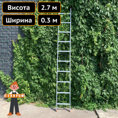 Односекційна драбина із алюмінію на 10 сходинок Техпром Дніпро