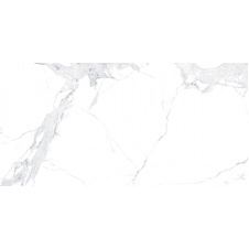 Плитка Allore Group Avenzo Silver FL 60х120 см