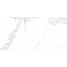 Плитка Allore Group Avenzo Silver Mat 60х120 см