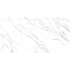 Плитка Allore Group Lazzaro Pearl FL 60х120 см