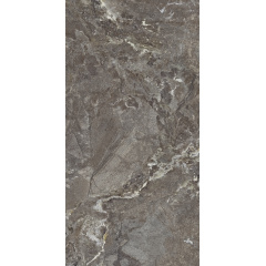 Плитка Allore Group Snake stone Bronze Mat 120х60 см Запоріжжя