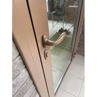 Двері вхідної групи із теплого алюмінію з фарбуванням