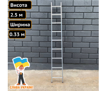 Односекционная приставная лестница из алюминия на 9 ступеней Техпром