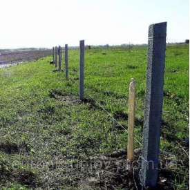 Столб виноградный (стартовый, усиленный) 100х100х3000