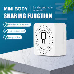 Міні Wifi реле бездротової вимикач з таймером Smart House 16A сумісна з Туя Алекса Google асистентами Київ