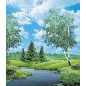 Фотообои Ника Берёзы у воды 207х242