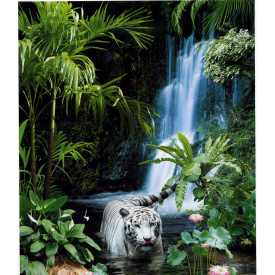 Фотообои Арт-Декор Тропическая сказка 242х201