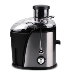 Соковыжималка RAF R.2805 450ml 250W Silver-Black (3_03497) Покровск
