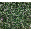 Декоративное зеленое покрытие Engard Бостон Плющ 50х50 см (GCK-15) Обухів