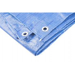 Тент MASTERTOOL 6х12 м 65 г/м² Blue (79-9612) Василівка