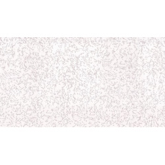Шпалери на паперовій основі Шарм 06-00 Стеля (0,53х10м.) Тернопіль