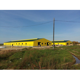 Строительство быстровозводимых свинарников из сэндвич панелей